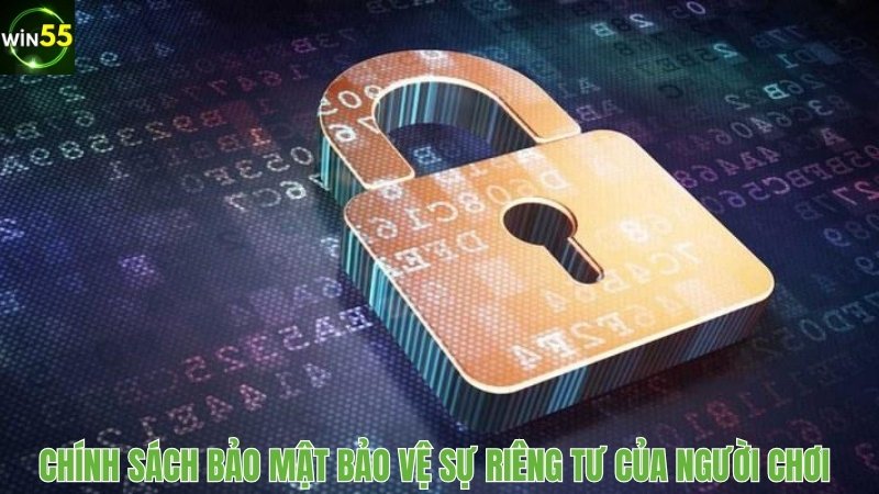 Chính sách bảo mật hình ảnh và bình luận bảo vệ sự riêng tư người chơi