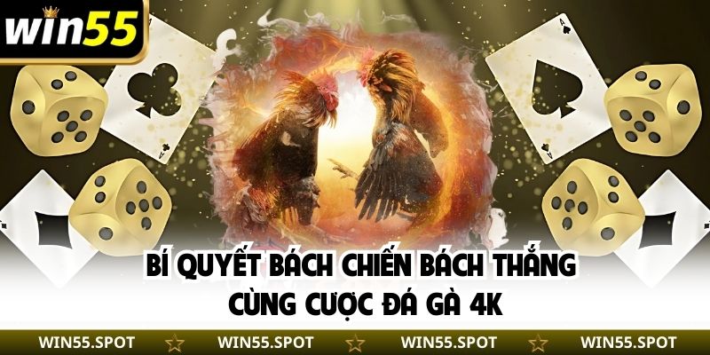 Bí quyết bách chiến bách thắng cùng cược đá gà 4K