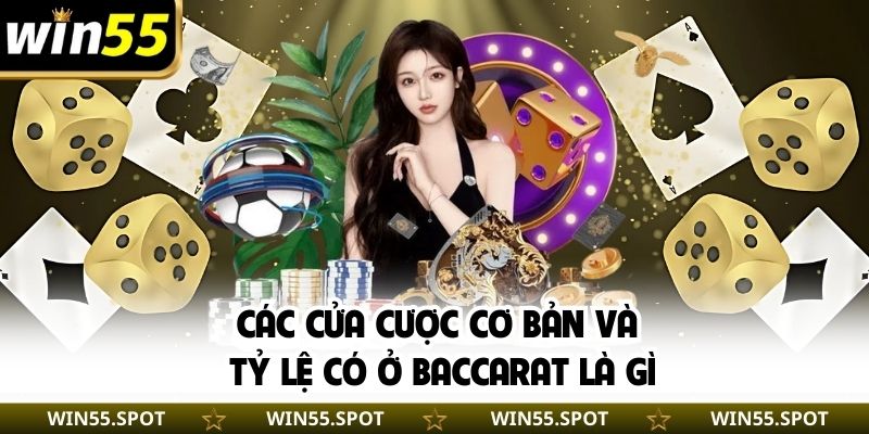 Các cửa cược cơ bản và tỷ lệ có ở Baccarat là gì