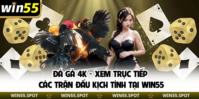 Đá gà 4K