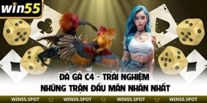 Đá Gà C4