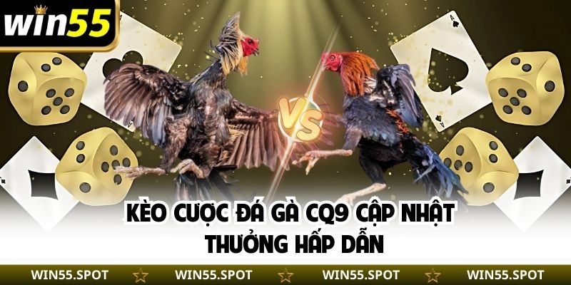 Kèo cược đá gà cập nhật, thưởng hấp dẫn