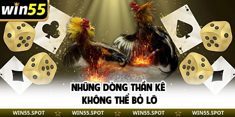 Những dòng thần kê không thể bỏ lỡ