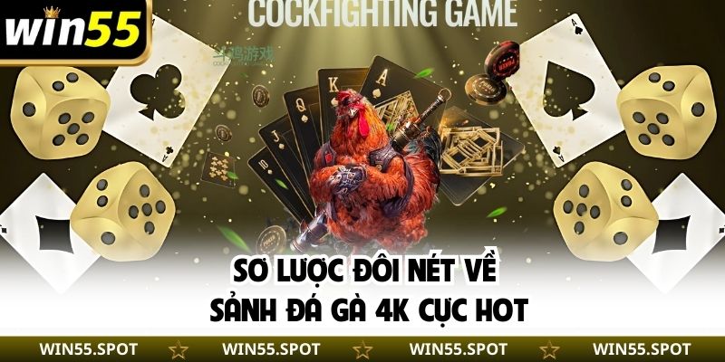 Sơ lược đôi nét về sảnh đá gà 4K cực hot