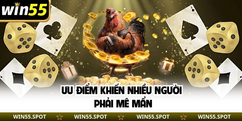 Ưu điểm khiến nhiều người phải mê mẩn